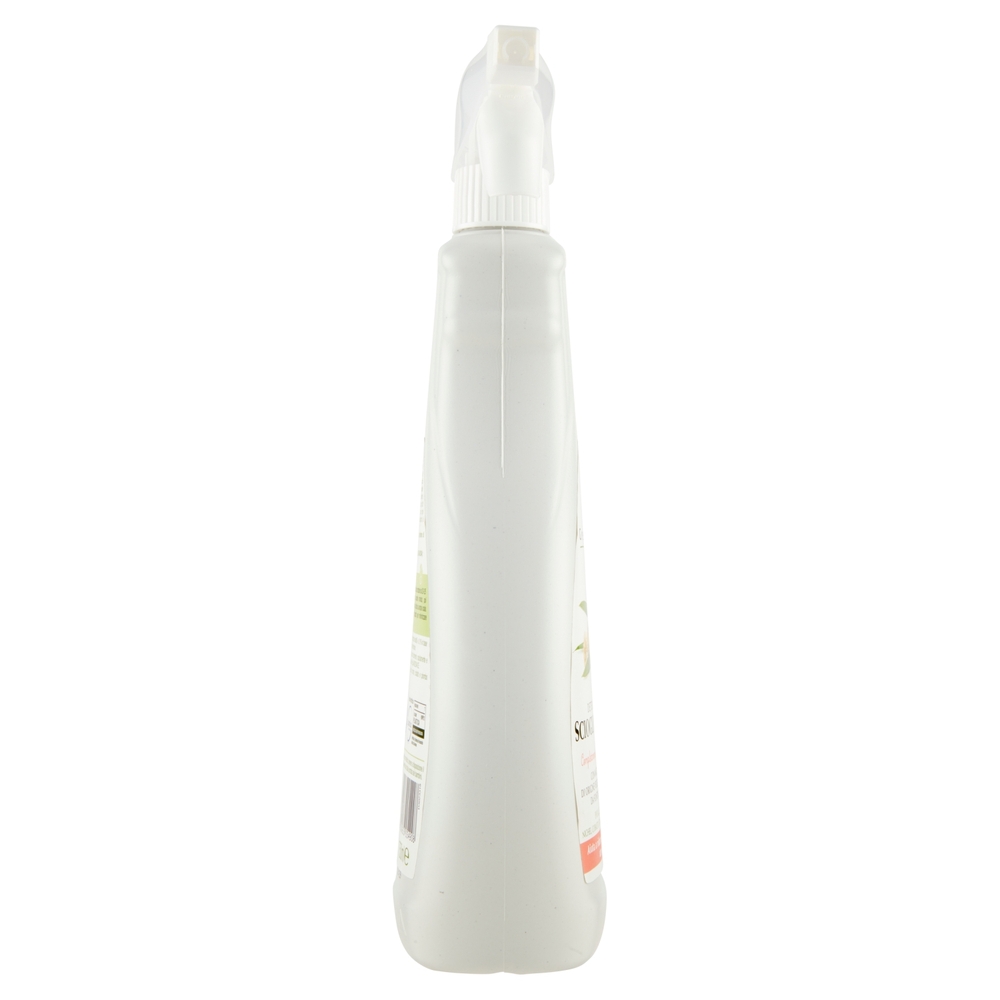 Detergente Scioglicalcare Green Oasis